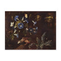 Blue Winds Toads And Insects By Schrieck Otto Mars postcards