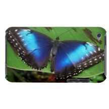 Blue Wing Butterfly iTouch Case Barely There iPod Case