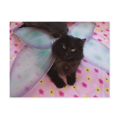 blue wing fairy postcard by KatAnnette