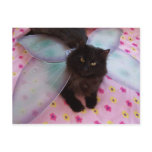 blue wing fairy postcard