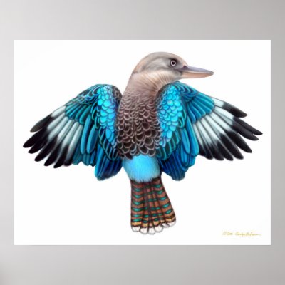 Blue Winged Kookaburra Print by twopurringcats