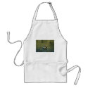Blue-winged teal-drake aprons