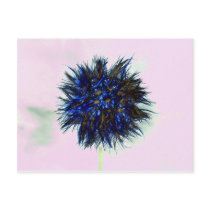 Blue Wish