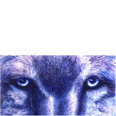Blue Wolf Eyes, Photo Sculpture by artbyjolyn