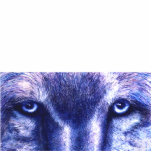 Blue Wolf Eyes, Photo Sculpture photo sculptures