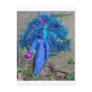 Blue Xavychup Goddess Doll