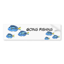 Blue & Yellow Tropical Fish