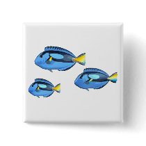 Blue & Yellow Tropical Fish
