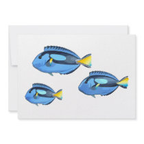 Blue & Yellow Tropical Fish