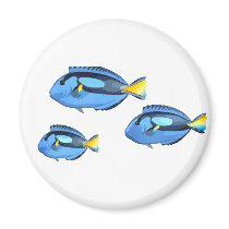 Blue & Yellow Tropical Fish