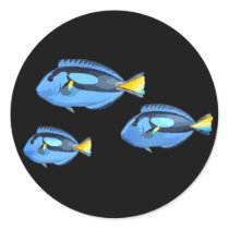 Blue & Yellow Tropical Fish
