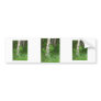 Bluebell #3 bumper sticker