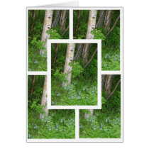Bluebell #3 cards