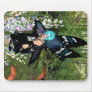 Bluebell Flower Pixie