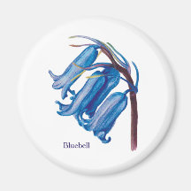 Bluebell Fridge Magnets