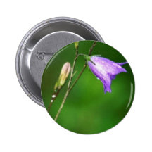 Bluebell Pins