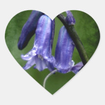 BlueBell Sticker