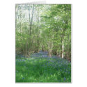 Bluebell trail through Foxley Wood, Norfolk Greeting Card