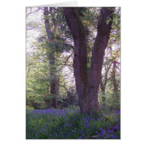 Bluebell Walk Greeting Card