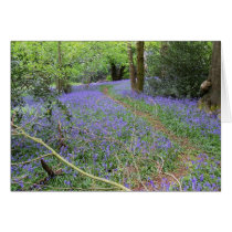 Bluebell woods greeting card