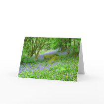Bluebell Woods Cards