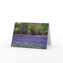 Bluebell Woods, England Card