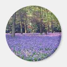 Bluebell Woods, England  flowers Fridge Magnets