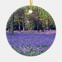 Bluebell Woods, England  flowers Ornament