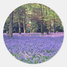Bluebell Woods, England  flowers Sticker