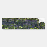 Bluebell Woods  flowers Bumper Sticker