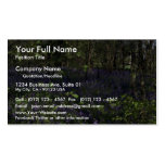 Bluebell Woods from the Forest Business Card Templates