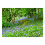 Bluebell Woods Greeting Card