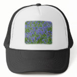Bluebells 8T34D-15 hats
