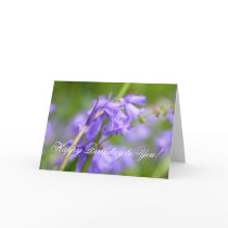Bluebells beauty greeting cards