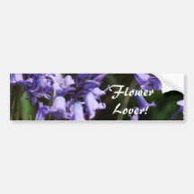 Bluebells Flowers Bumper Sticker