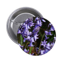 Bluebells Flowers Pins