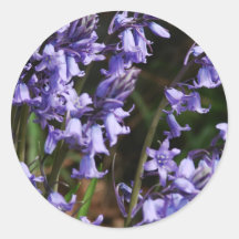 Bluebells Flowers Round Stickers