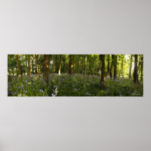Bluebells In A Forest Print