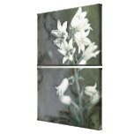 Bluebells in Black & White Stretched Canvas Print
