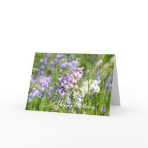 Bluebells meadow