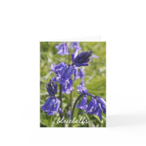 Bluebells notecard
