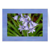 Bluebells of Spring Greeting Card