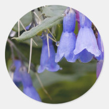 Bluebells Round Sticker