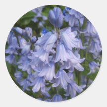 Bluebells Round Stickers