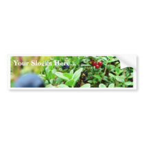 Blueberries And Lingon Berries Bumper Stickers