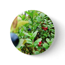 Blueberries And Lingon Berries Pinback Buttons