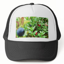 Blueberries And Lingon Berries Mesh Hat