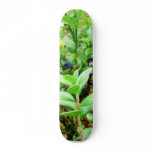 Blueberries And Lingon Berries skateboards