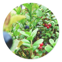 Blueberries And Lingon Berries Round Sticker