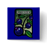 Blueberries buttons